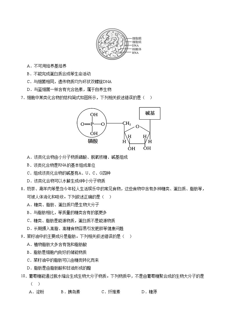 北京专用高中生物高一上学期第一次月考卷（1~2章）含答案解析02
