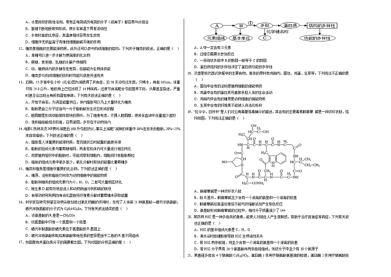 新高考通用高中生物高一上学期第一次月考（1-2章）含答案解析02