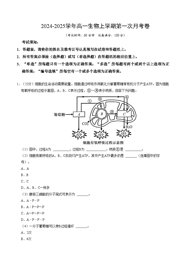 高一生物第一次月考卷（全解全析）（沪科版2020）第1页