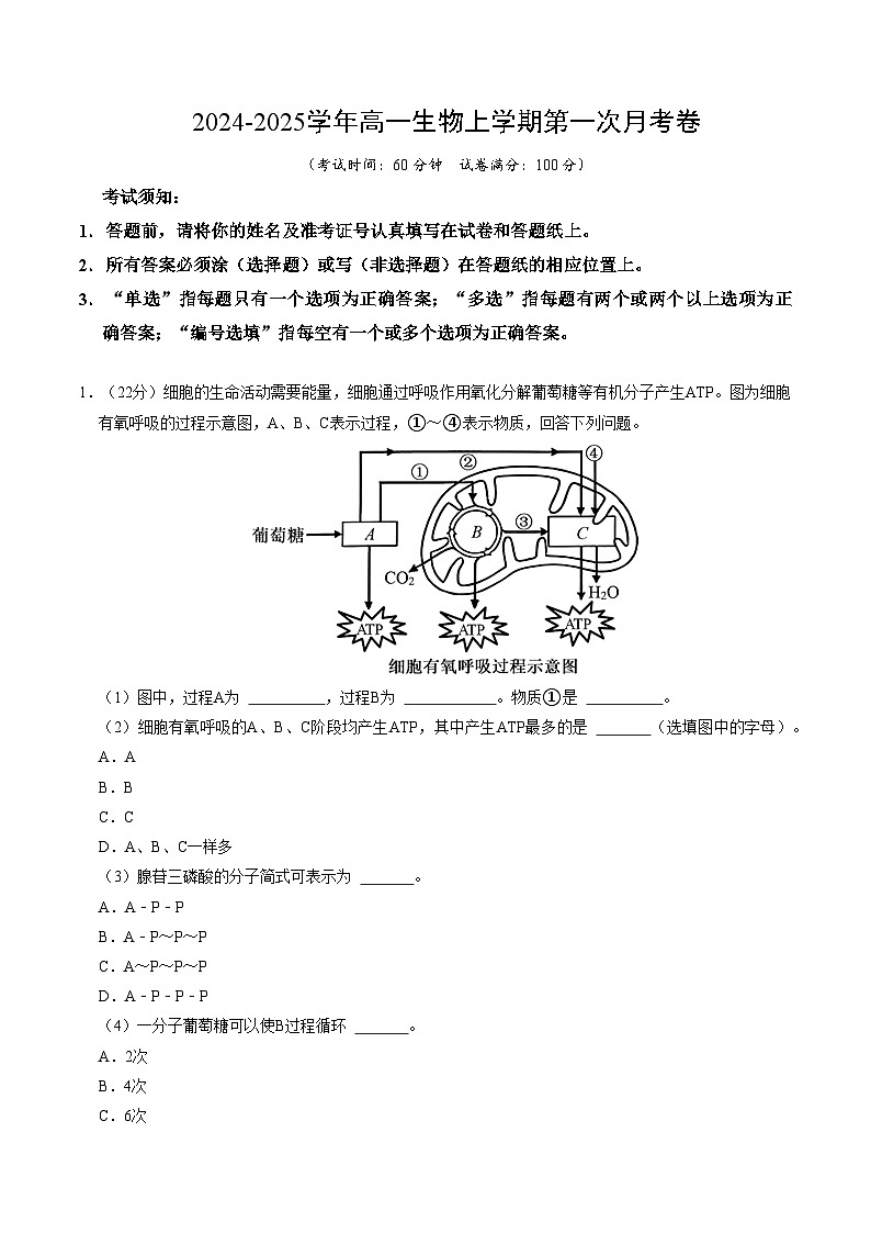 高一生物第一次月考卷（考试版A4）（沪科版2020）第1页