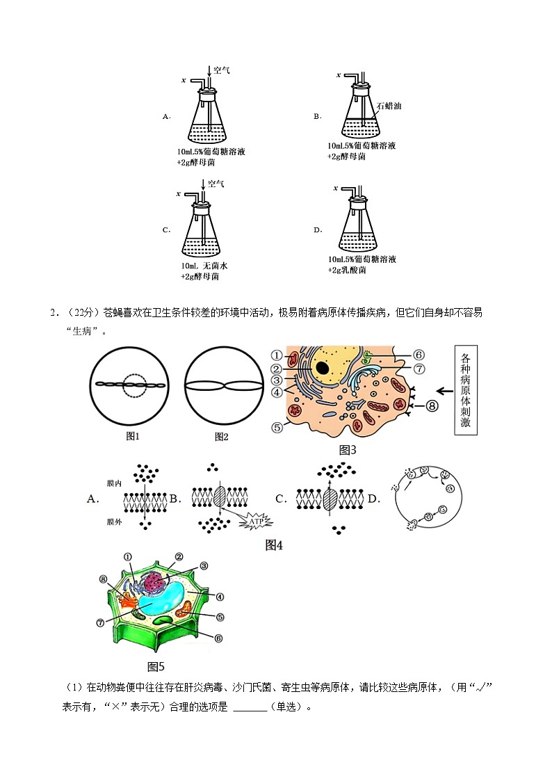 高一生物第一次月考卷（考试版A4）（沪科版2020）第3页