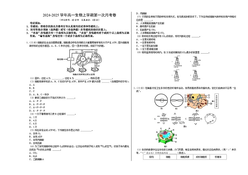 高一生物第一次月考卷（考试版A3）（沪科版2020）第1页