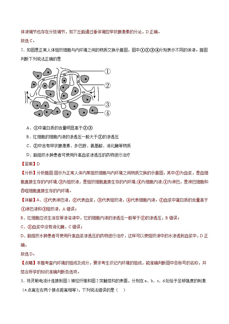 新八省通用高中生物高二上学期第一次月考卷（人教版2019，1~4章）含答案解析02