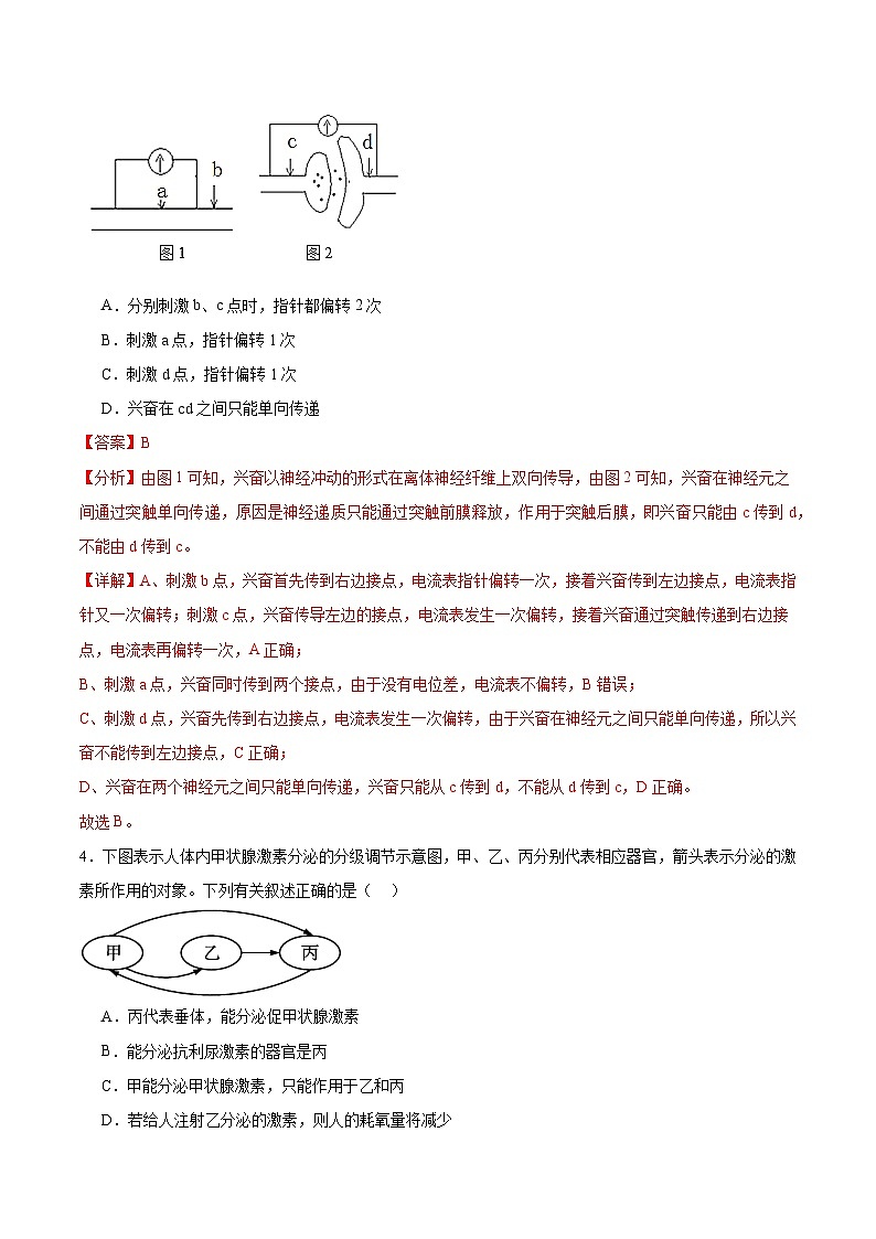新八省通用高中生物高二上学期第一次月考卷（人教版2019，1~4章）含答案解析03