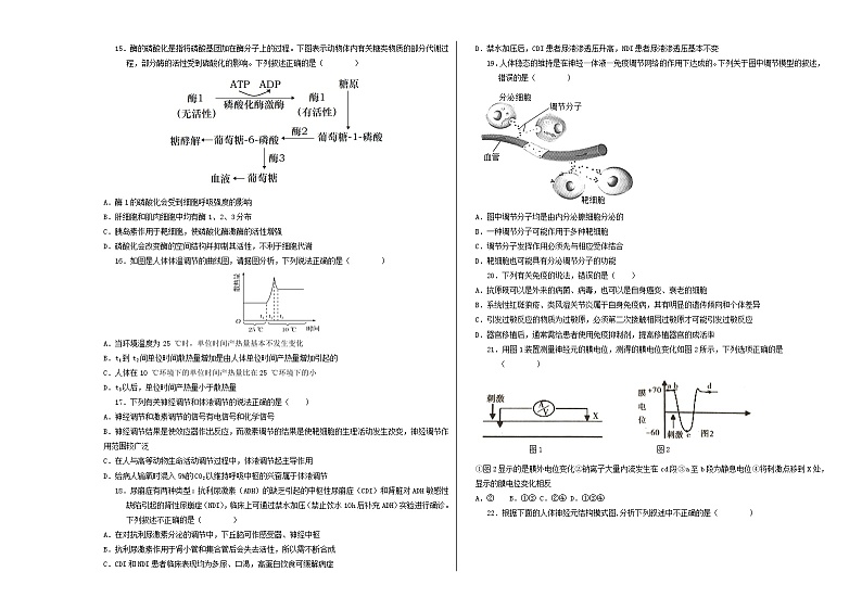 新八省通用高中生物高二上学期第一次月考卷（人教版2019，1~4章）含答案解析03