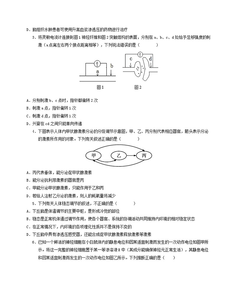新八省通用高中生物高二上学期第一次月考卷（人教版2019，1~4章）含答案解析02