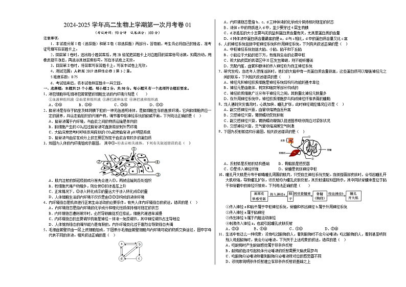 新高考通用高中生物高二上学期第一次月考卷01（1~2章）含答案解析01