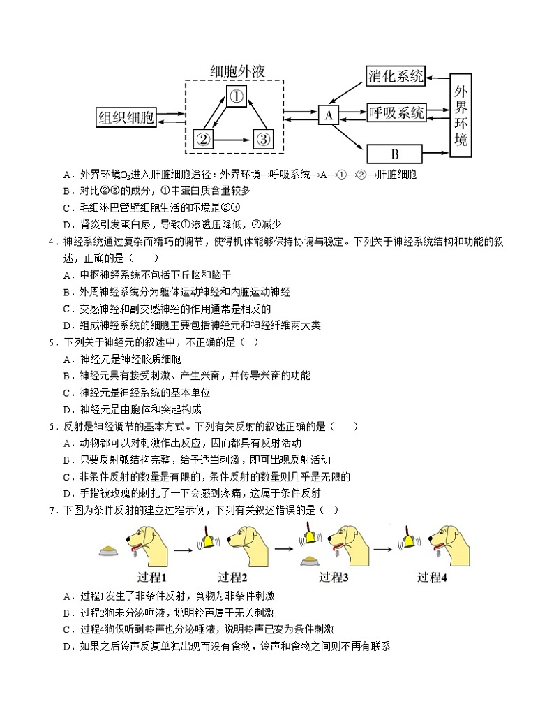 新高考通用高中生物高二上学期第一次月考卷02（1~2章）含答案解析02