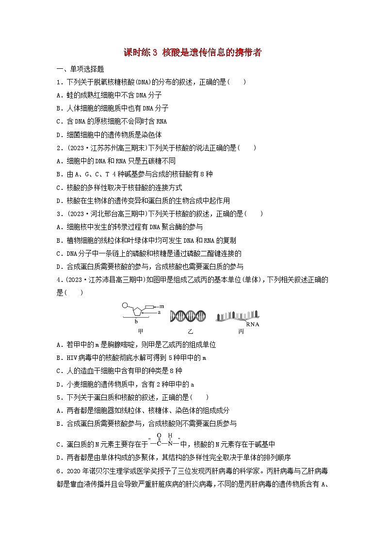 2024届高考生物一轮复习试题第一单元细胞的分子组成课时练3核酸是遗传信息的携带者苏教版第1页