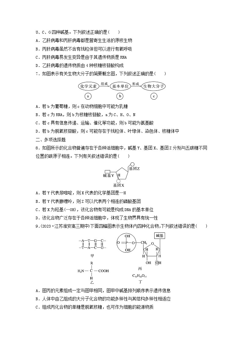 2024届高考生物一轮复习试题第一单元细胞的分子组成课时练3核酸是遗传信息的携带者苏教版第2页