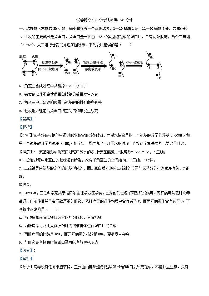 福建省泉州市两校联考2023_2024学年高一生物上学期12月月考试题含解析01