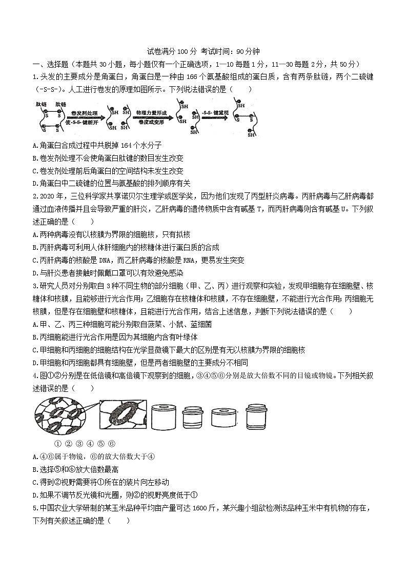 福建省泉州市两校联考2023_2024学年高一生物上学期12月月考试题无答案01