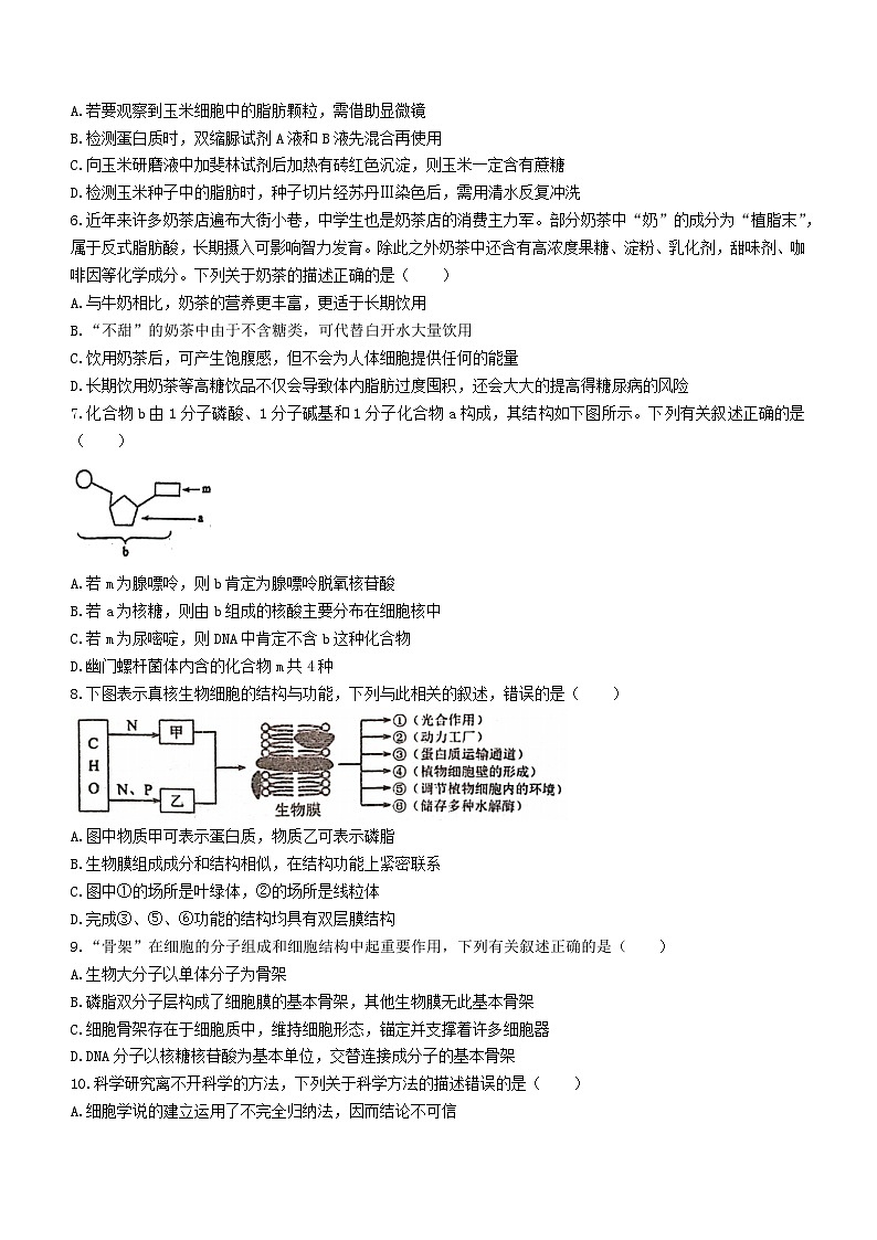 福建省泉州市两校联考2023_2024学年高一生物上学期12月月考试题无答案02