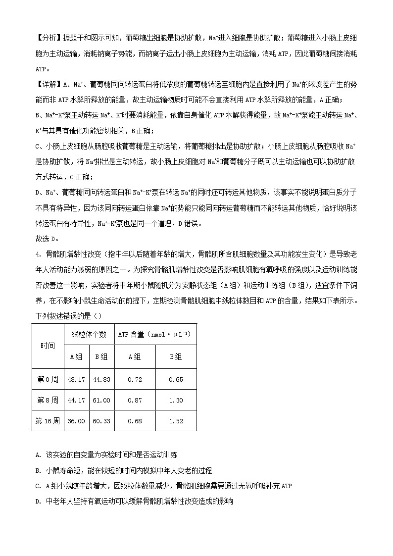 湖南省长沙市2023_2024学年高三生物上学期月考卷三试题含解析03