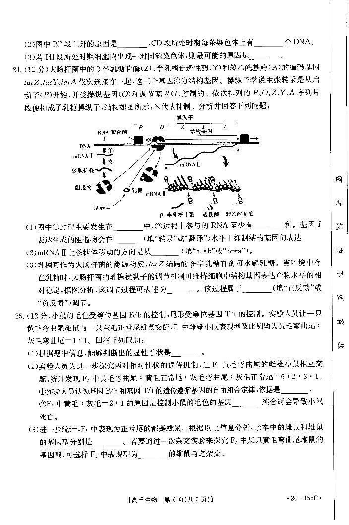 内蒙古自治区赤峰市2023_2024学年高三生物上学期11月期中试题pdf02
