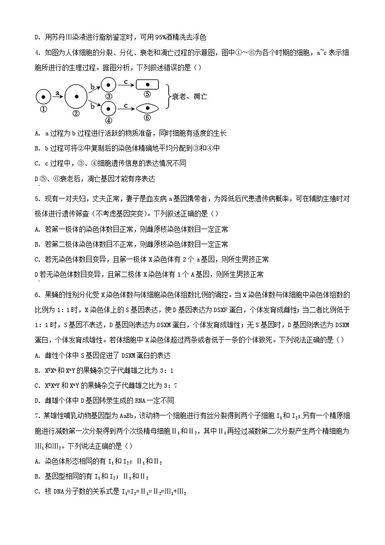 山东省新高考联合质量测评2024届高三生物上学期12月联考试题第2页