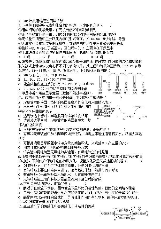 天津市静海区2023_2024学年高一生物上学期12月月考试题02