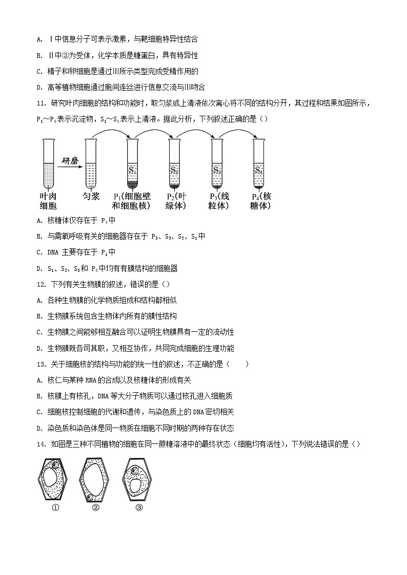 云南省2023_2024学年高一生物上学期12月月考试题含解析03