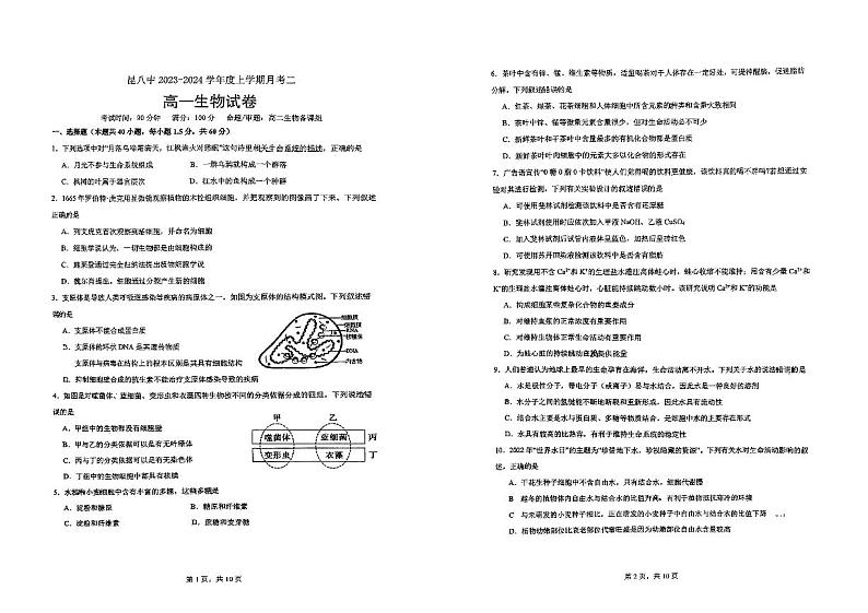 云南省昆明市2023_2024学年高一生物上学期12月月考试题pdf第1页