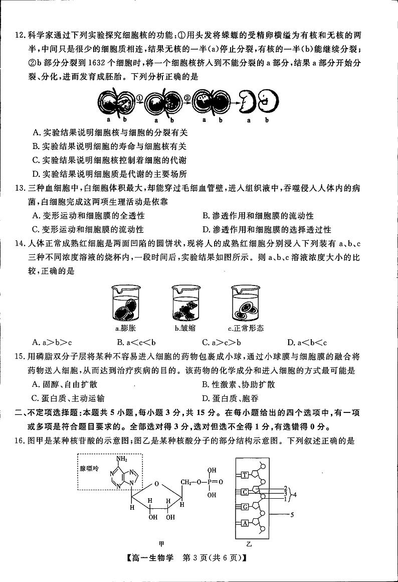 吉林省梅河口市2023_2024学年高一生物上学期12月月考试题pdf第3页