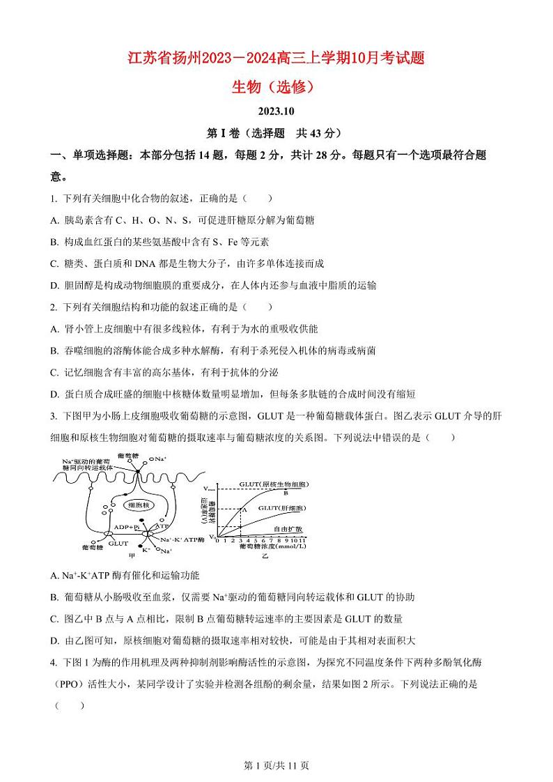 江苏省扬州2023_2024高三生物上学期10月考试题pdf第1页