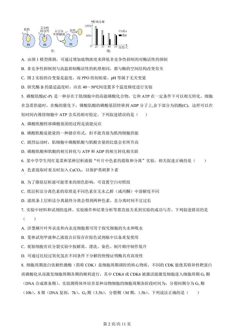 江苏省扬州2023_2024高三生物上学期10月考试题pdf第2页