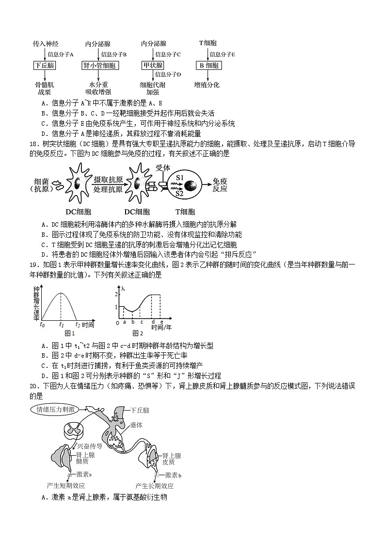 四川省宜宾市叙州区2023_2024学年高二生物上学期12月月考试题03