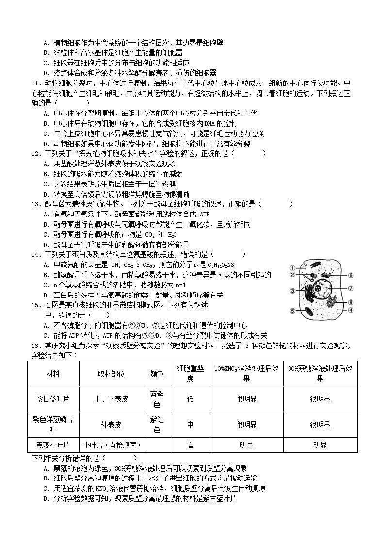 四川省宜宾市叙州区2023_2024学年高一生物上学期12月月考试题第2页