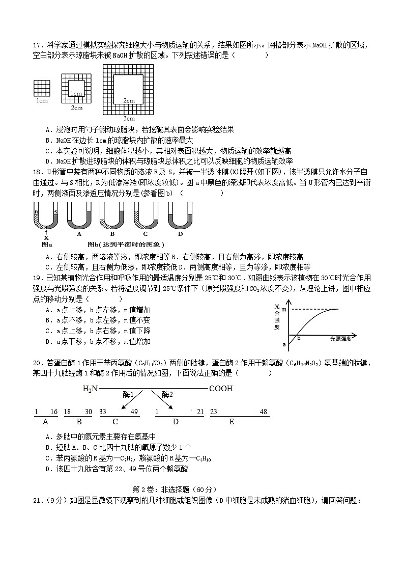 四川省宜宾市叙州区2023_2024学年高一生物上学期12月月考试题第3页