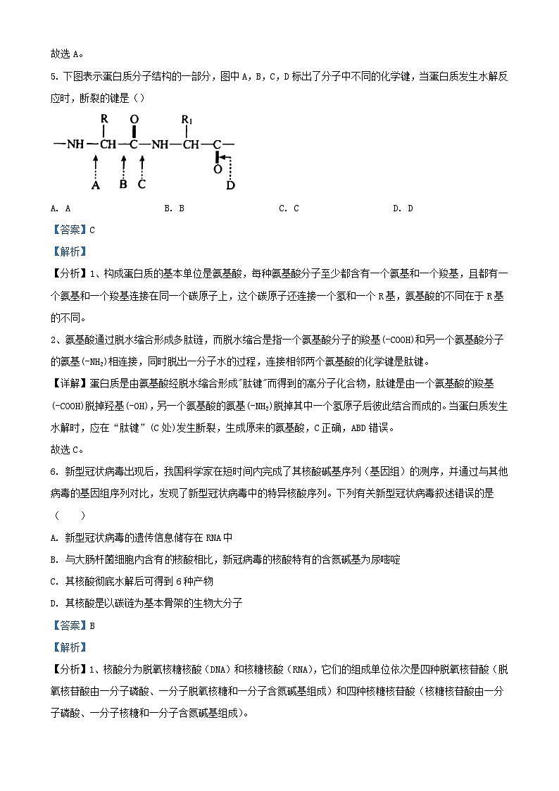 天津市2023_2024学年高一生物上学期期中联考试题含解析03
