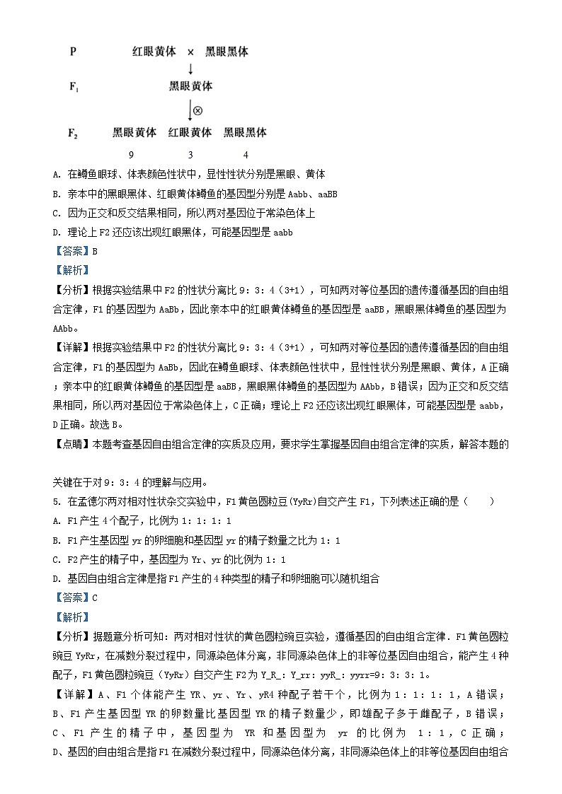 天津市滨海新区2023_2024学年高三生物上学期期中试题含解析03