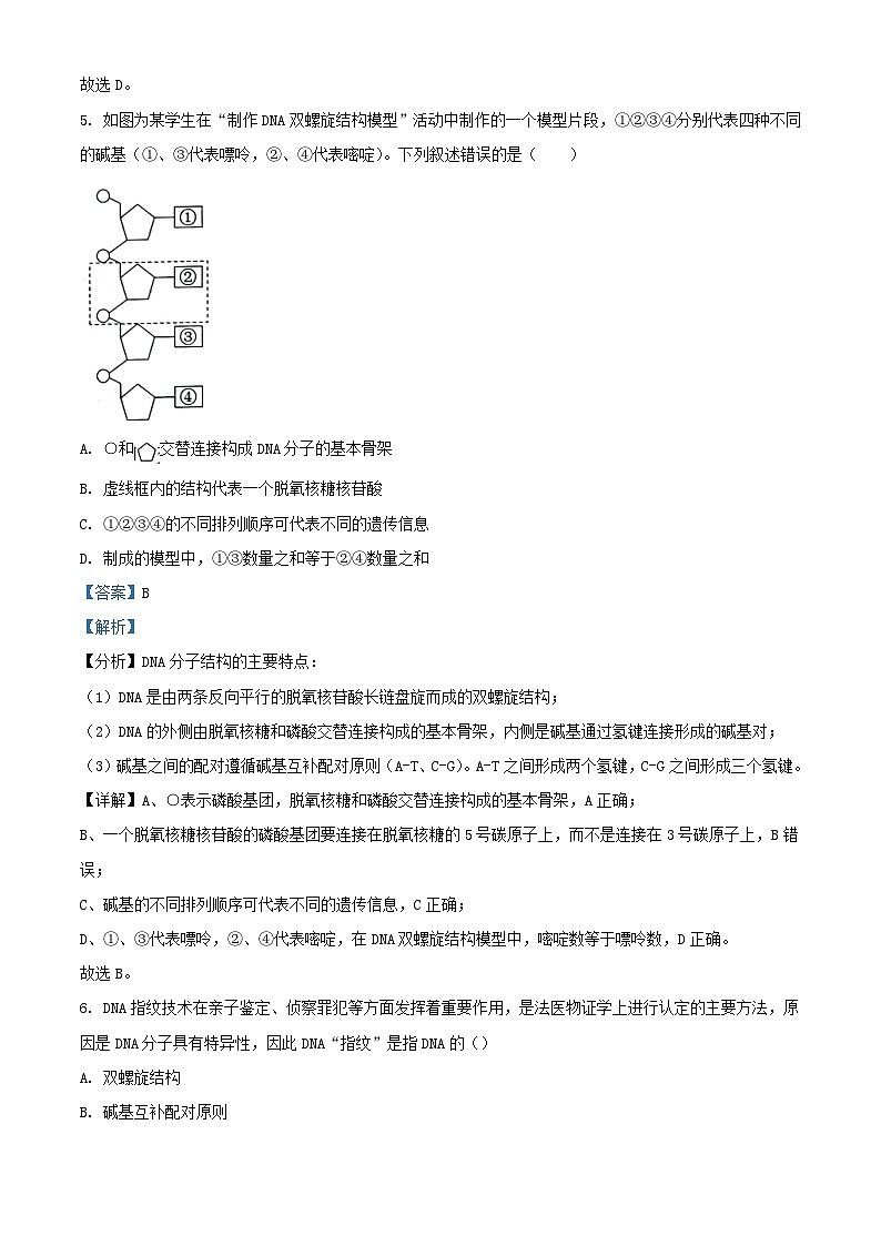 新疆霍尔果斯市2022_2023学年高二生物上学期期中试题含解析03