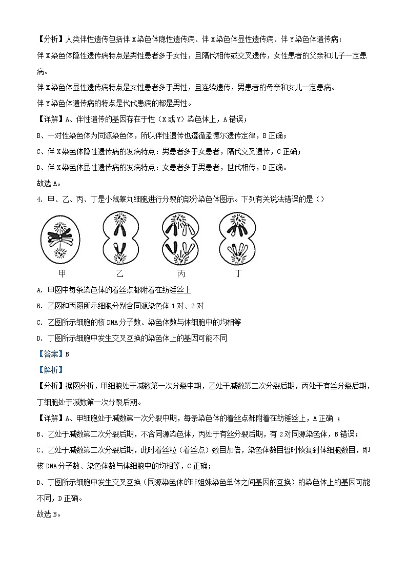 新疆喀什地区2022_2023学年高二生物上学期期末试题含解析02