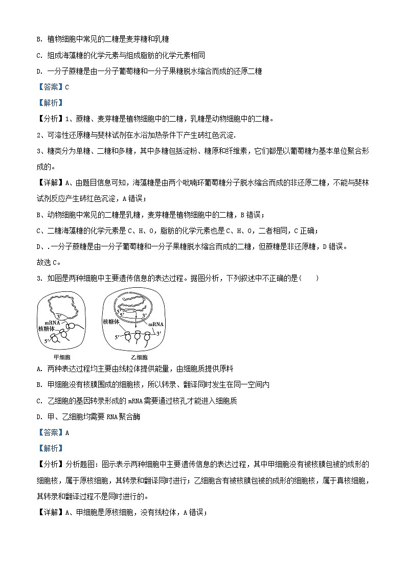 新疆喀什地区2022_2023学年高三生物上学期期中试题含解析02