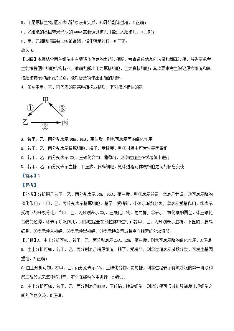 新疆喀什地区2022_2023学年高三生物上学期期中试题含解析03