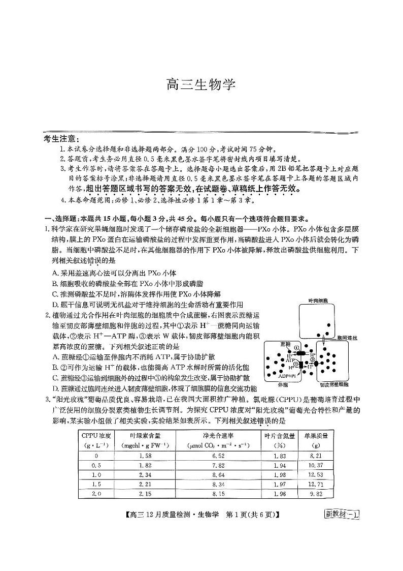 河南省名校联盟2023_2024学年高三生物上学期12月月考试题pdf01