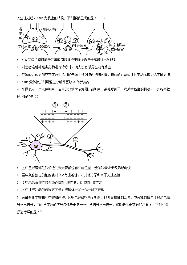河南湿封市五县联考2023_2024学年高二生物上学期期中试题含解析第2页