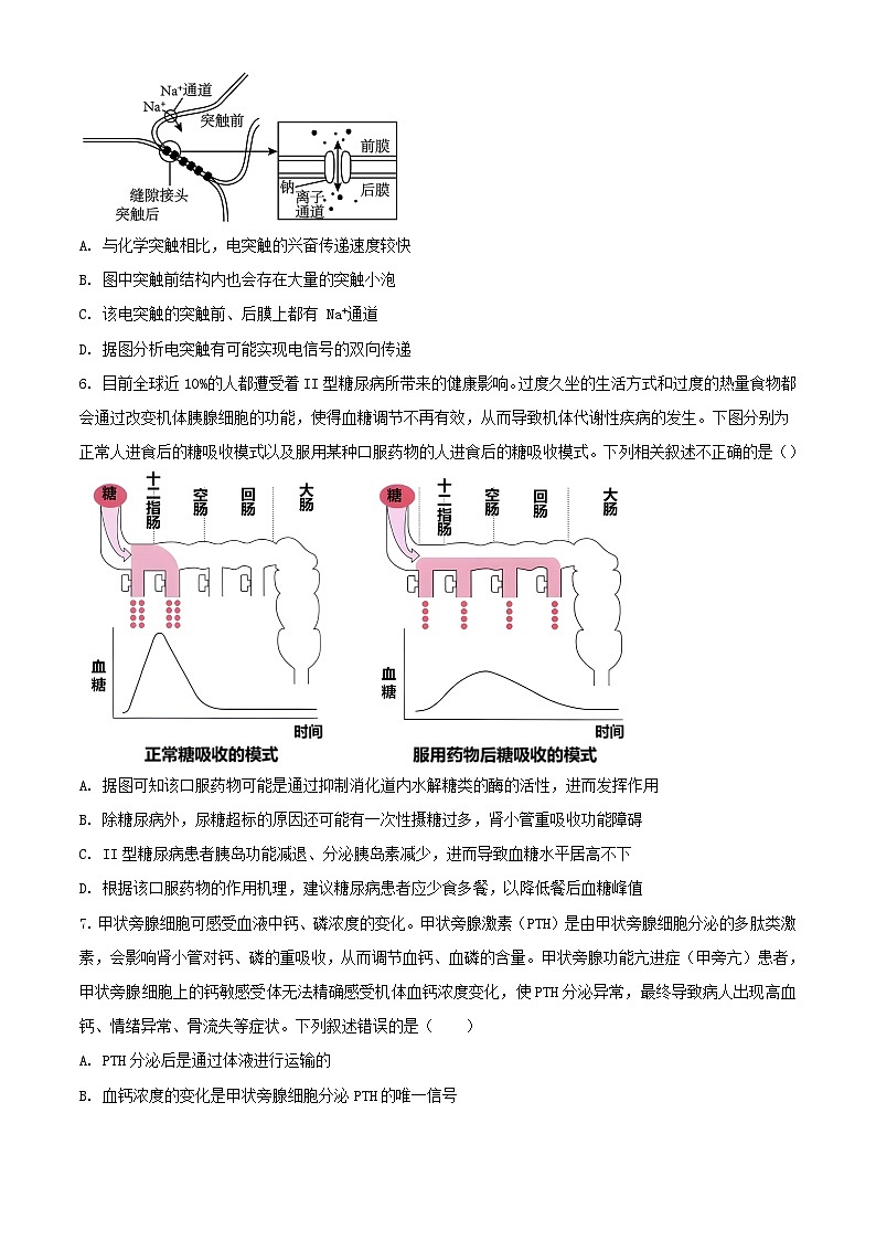 河南湿封市五县联考2023_2024学年高二生物上学期期中试题含解析第3页