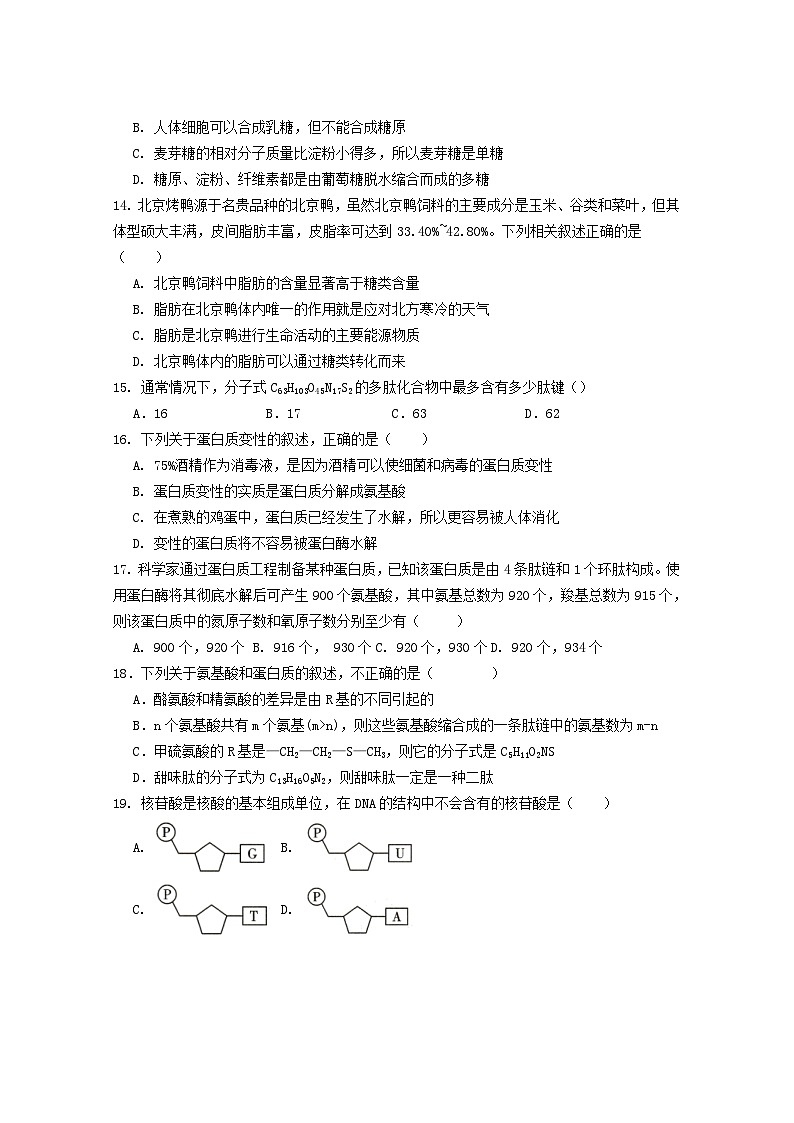 四川省成都市2023_2024学年高一生物上学期周考试卷无答案第3页