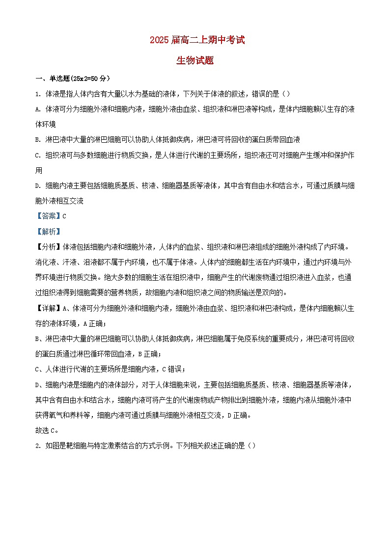 四川省内江市2023_2024学年高二生物上学期期中试题含解析01