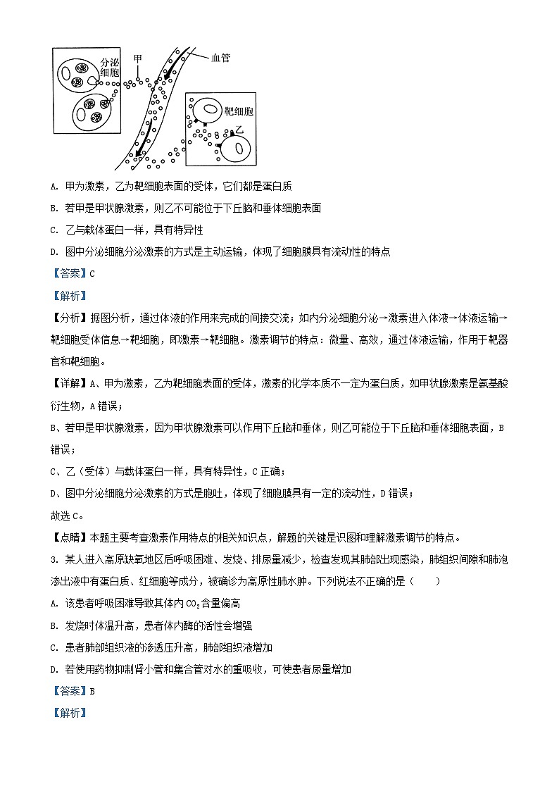 四川省内江市2023_2024学年高二生物上学期期中试题含解析02