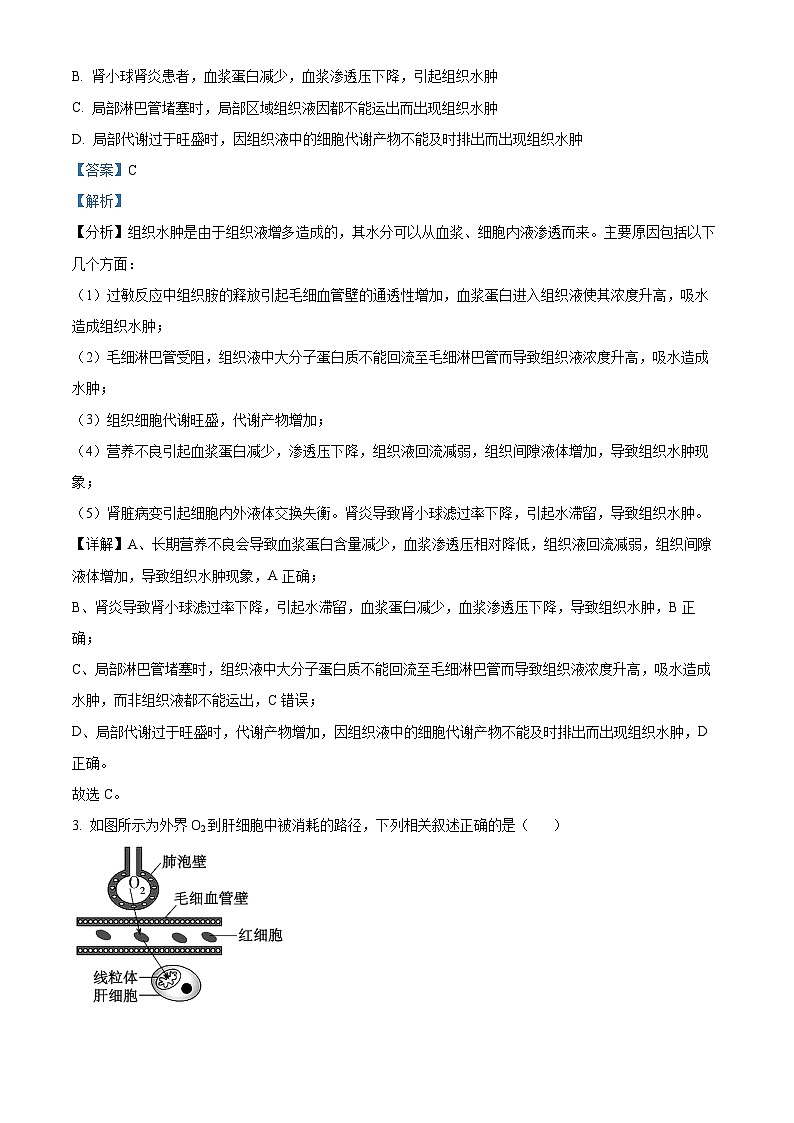 安徽省滁州市定远县育才学校2024-2025学年高二上学期第一次月考生物试题（解析版）第2页