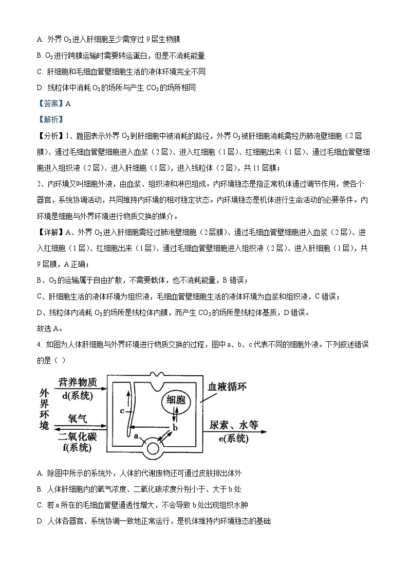 安徽省滁州市定远县育才学校2024-2025学年高二上学期第一次月考生物试题（解析版）第3页
