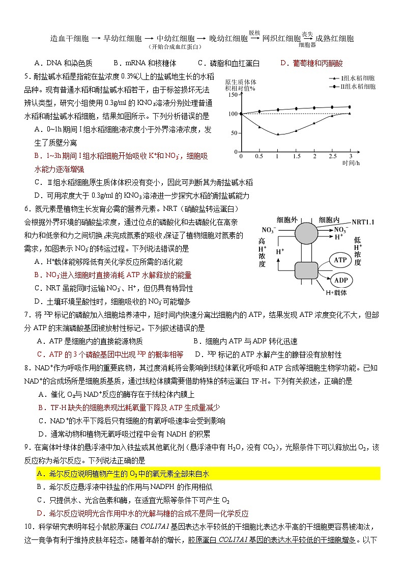 广东省华南师范大学附属中学2024-2024学年高三上学期综合测试（一）生物试题02