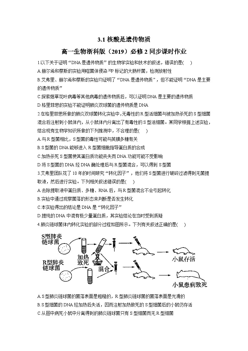 3.1核酸是遗传物质同步课时作业 高中生物浙科版（2019）必修201