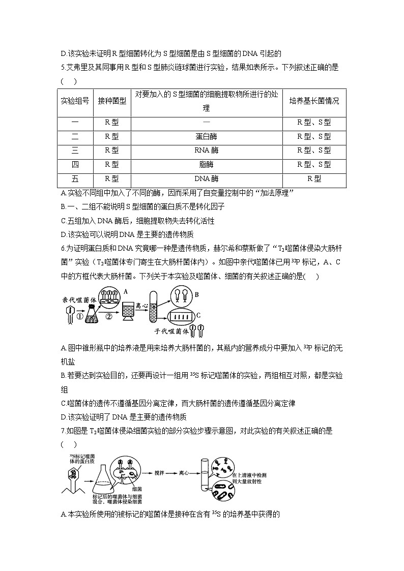 3.1核酸是遗传物质同步课时作业 高中生物浙科版（2019）必修202