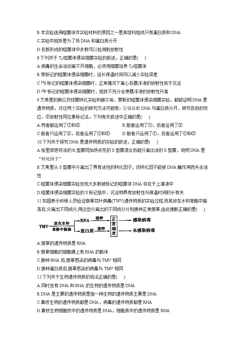 3.1核酸是遗传物质同步课时作业 高中生物浙科版（2019）必修203