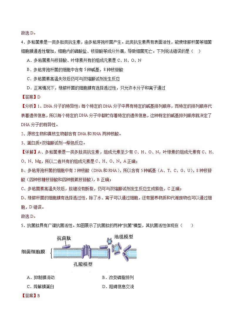 3.1 细胞膜的结构和功能（分层作业）-高一生物同步高效课堂（人教版2019必修1）03