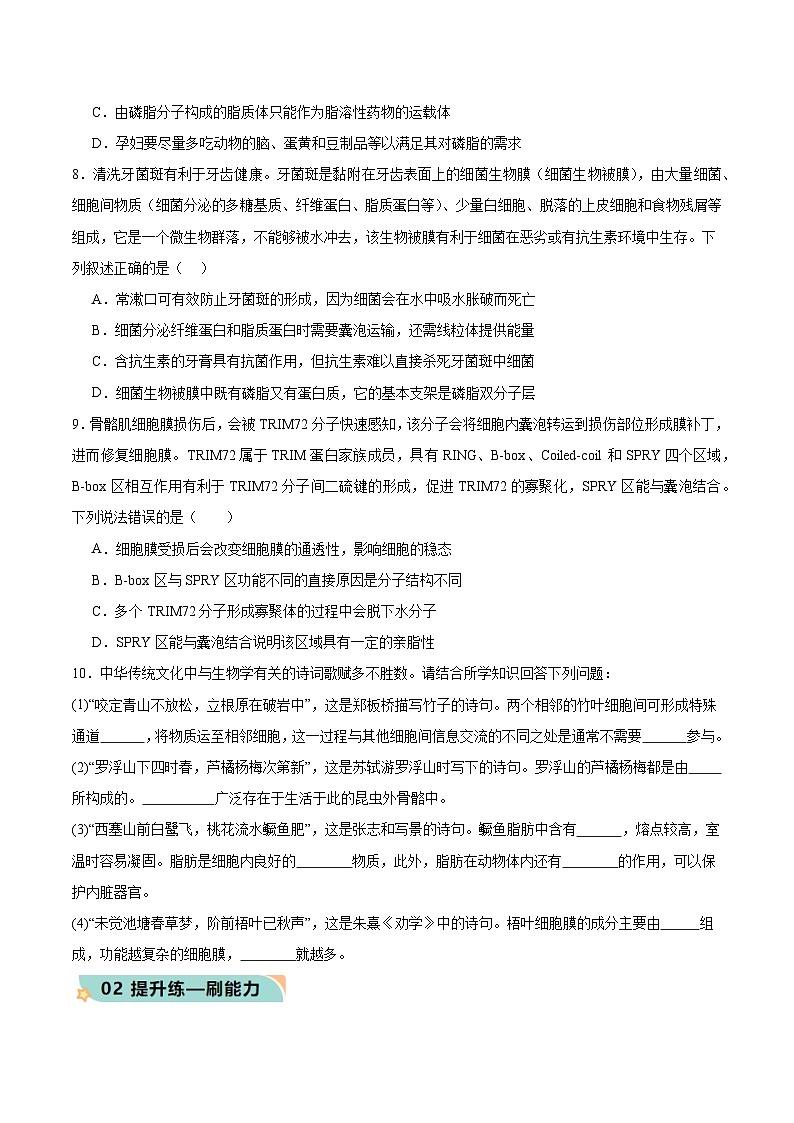 3.1 细胞膜的结构和功能（分层作业）-高一生物同步高效课堂（人教版2019必修1）03