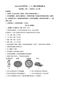 2024-2025学年高一上学期期末考试生物试题02